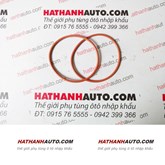 Gioăng bơm xăng xe Maybach S600, Maybach S550 - 0259971845
